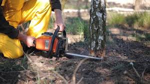 Best Grass Overseeding  in Lionville, PA