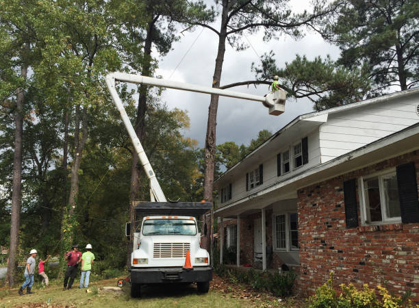 Best Commercial Tree Services  in Lionville, PA