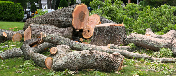Best Aeration Services  in Lionville, PA