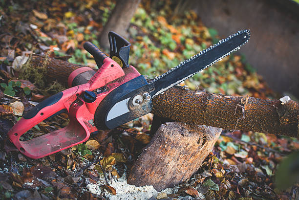 Best Lawn Maintenance Plans  in Lionville, PA